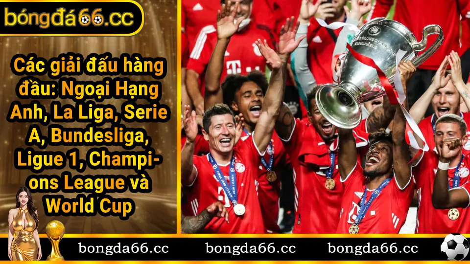 Các giải đấu bóng đá hàng đầu thế giới - Premier League, La Liga, Serie A, Bundesliga, Champions League