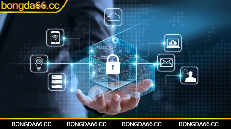Bảo mật thông tin người dùng tại Bongda66 với kèo nhà cái an toàn và soi kèo đáng tin cậy