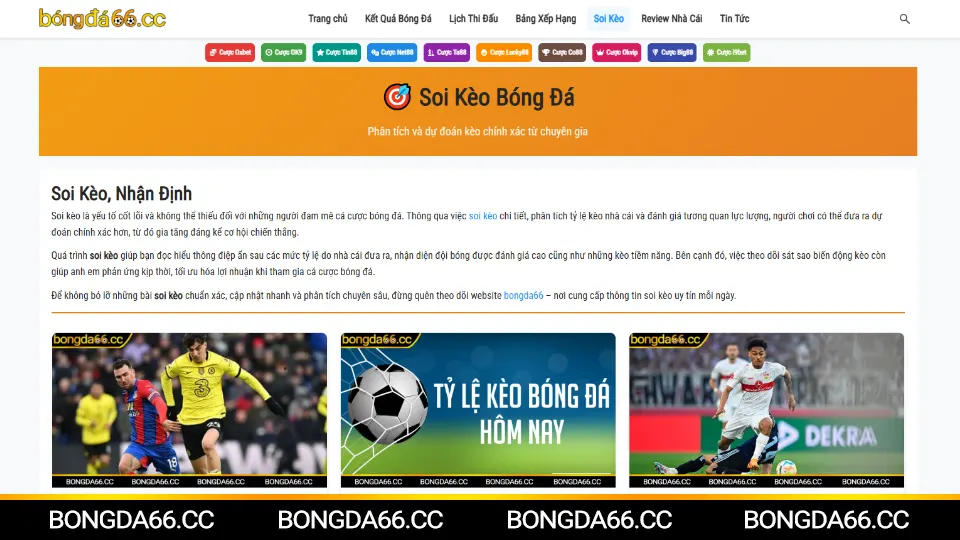 Nền tảng Bongda66 cung cấp soi kèo bóng đá 66 chi tiết và kèo nhà cái uy tín cho người chơi