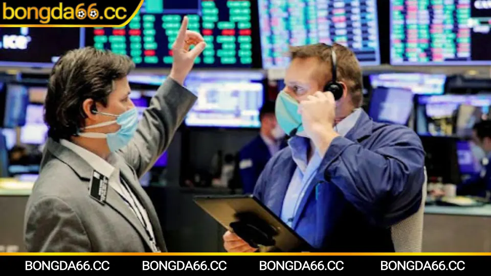 Đội ngũ chuyên gia Bongda66 phân tích soi kèo và kèo nhà cái cho bóng đá 66