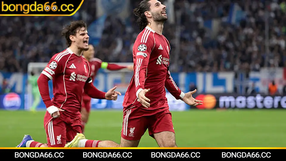 Bảng xếp hạng bóng đá 2026: điểm số, hiệu số và phong độ