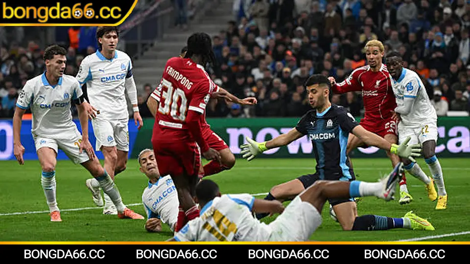 Bảng xếp hạng bóng đá Anh Premier League 2025/26 cập nhật