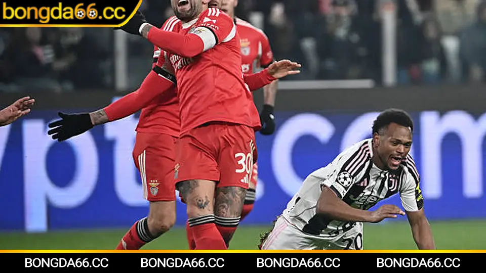 Bảng xếp hạng bóng đá Ý và kèo nhà cái 5 trước vòng đấu