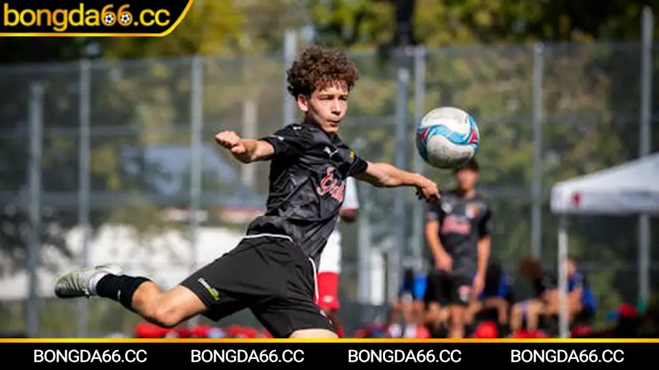 Báo bóng đá bongda66 tổng hợp bài học soi kèo rung và tài xỉu