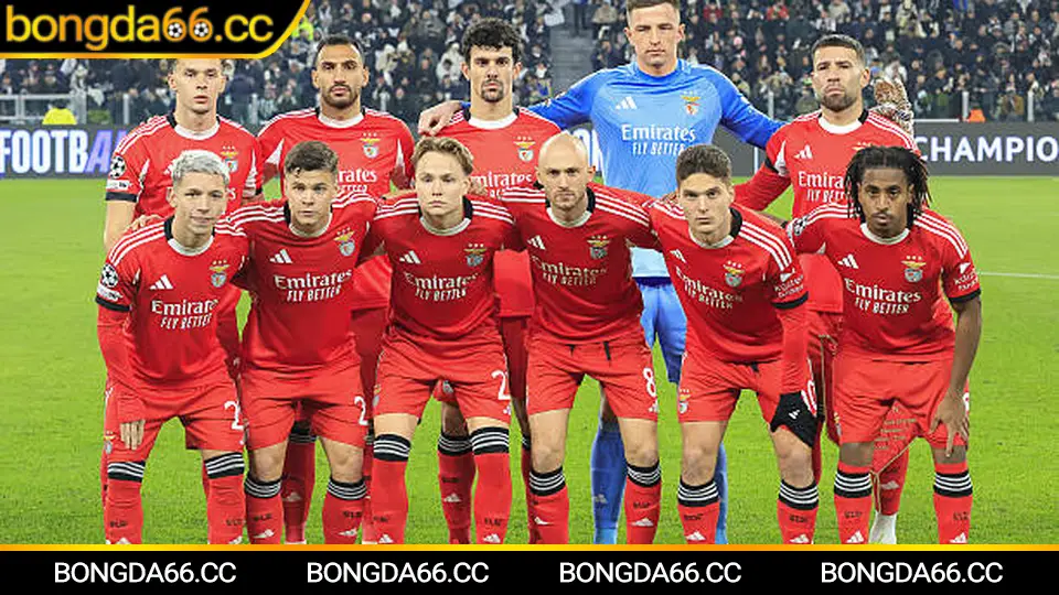 Bí quyết cá cược đá bóng thành công với phân tích tỷ số và đội hình trên Bongda66