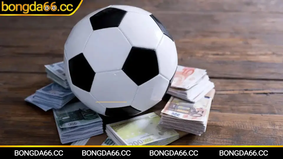 Bóng đá số phân tích dữ liệu trận đấu trực tiếp bóng đá Việt Nam 2026