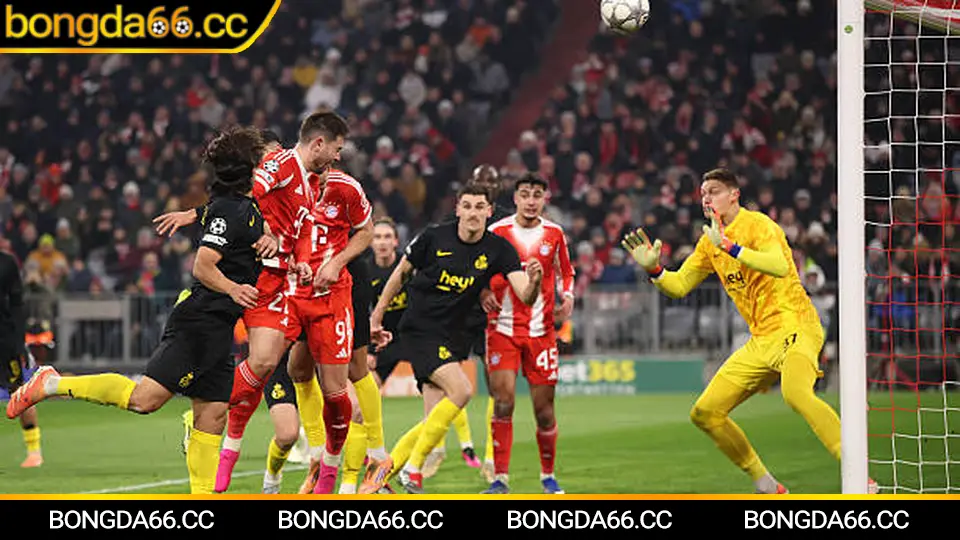 bongda66 cập nhật kèo nhà cái và xem bóng đá trực tiếp năm 2026