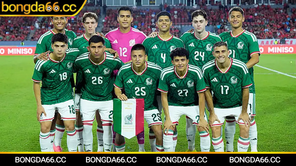 CAND lực lượng và xu hướng soi kèo mùa 2025/26 trên bongda66