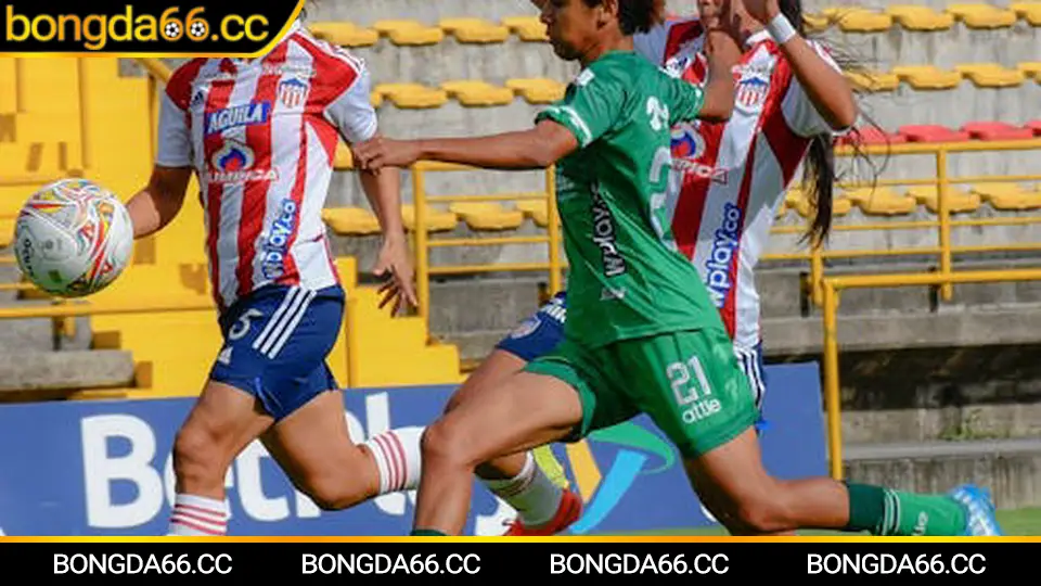 Club America biểu tượng đại bàng Liga MX và sức hút kèo cược