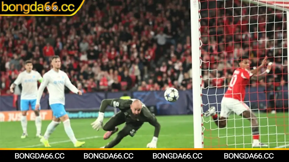 Đá bóng hôm nay: lịch thi đấu, kết quả và kèo cập nhật trên bongda66