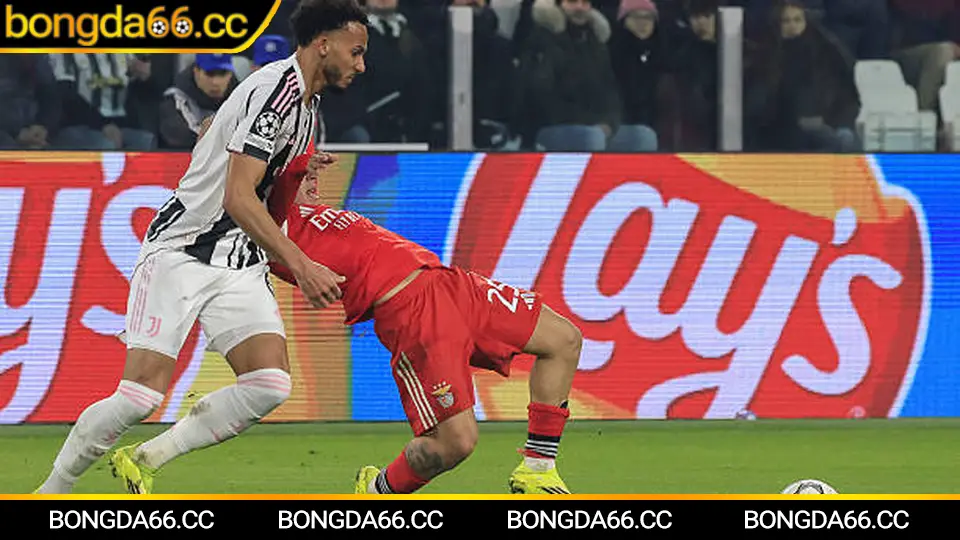 Dự báo bảng xếp hạng bóng đá Ý và kèo nhà cái 5 giai đoạn 02/2026