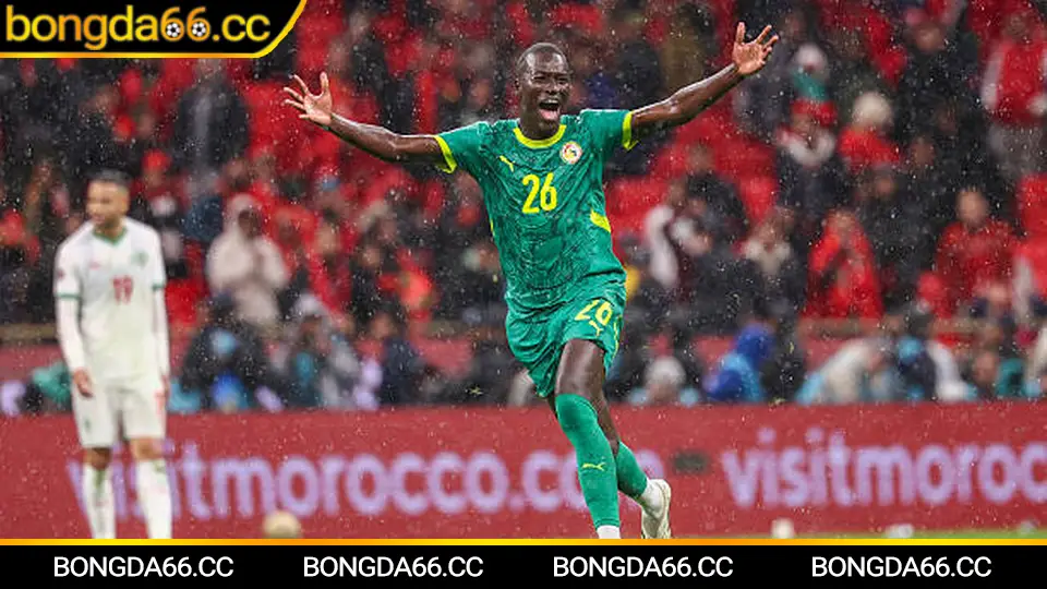 Dự báo kèo nhà cái và xu hướng thị trường trước World Cup 2026