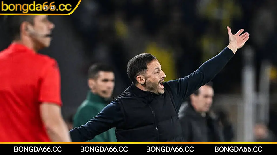 Dự báo Thép Xanh Nam Định đua vô địch V-League mùa 2025/26