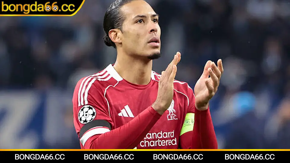 Dự đoán Al Ahly 2026: xu hướng kèo châu Á, tài xỉu và góc