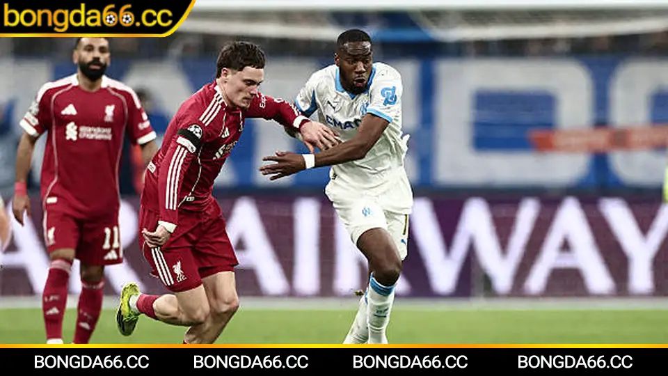 Dự đoán bóng đá qua trận chung kết World Cup 2022 giữa Argentina và Pháp với biến động tỷ số kịch tính