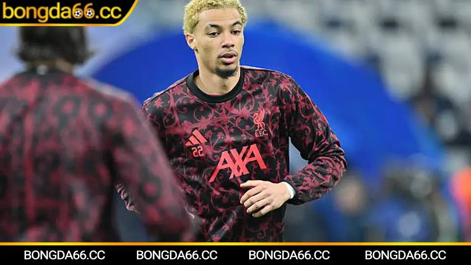 Dự đoán trận đấu Chelsea và tỷ số bóng đá hôm nay theo xu hướng kèo