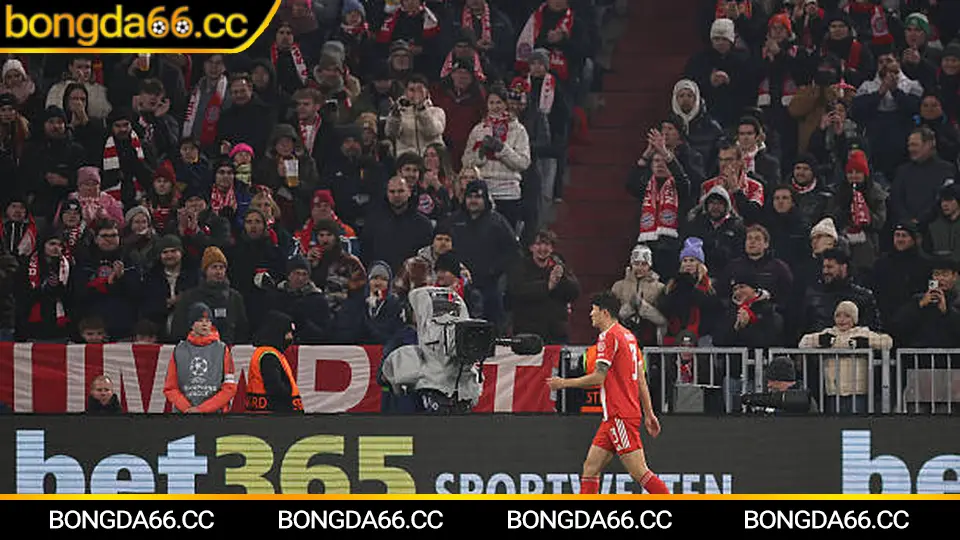 Dự đoán Trẻ Đắk Lắk mùa 2026 và kịch bản soi kèo trên bongda66