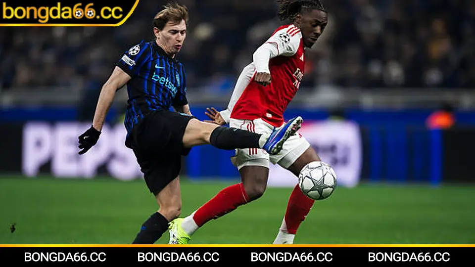 Xu hướng thi đấu Hà Nội II 2026 và dự đoán kịch bản trận đấu