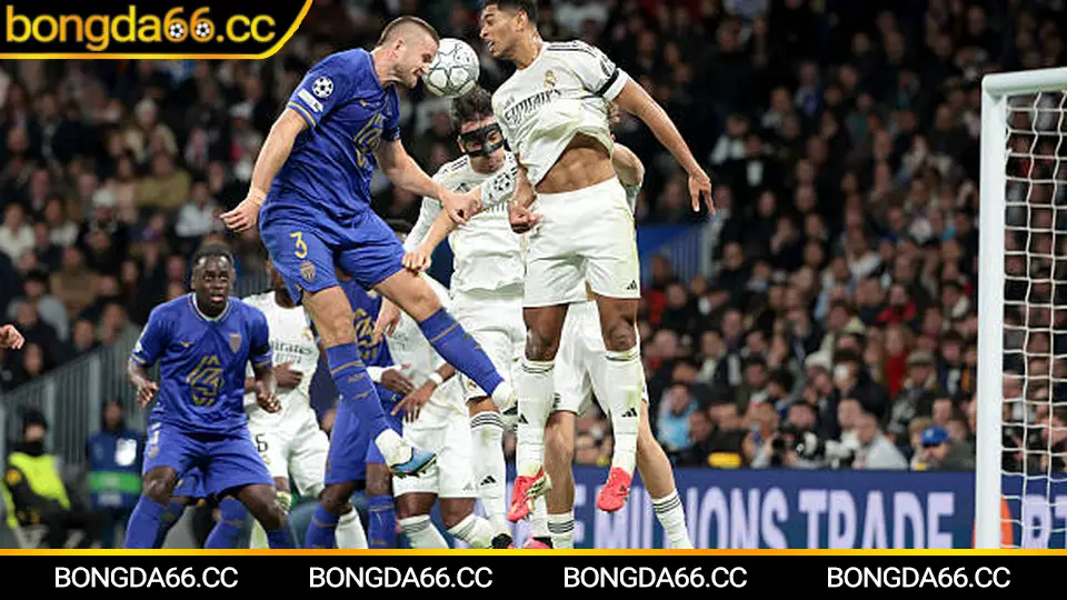 Hướng dẫn đọc kèo bóng đá trực tuyến Serie A chuẩn trên bongda66