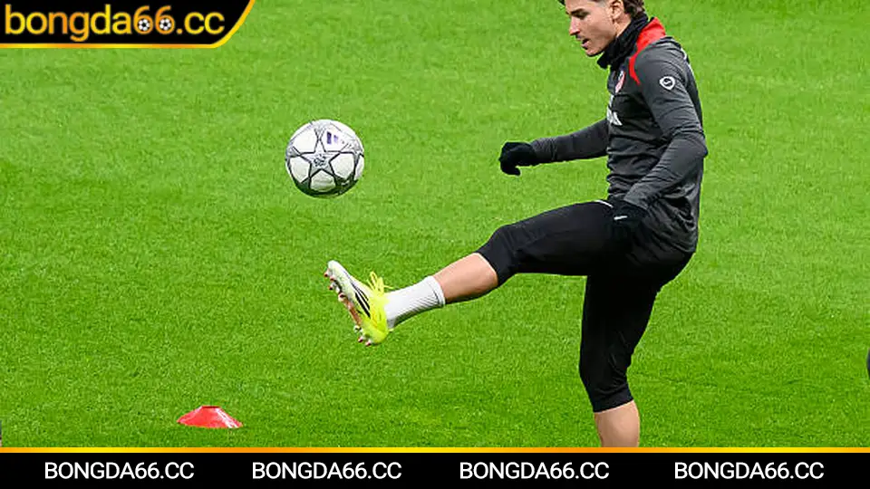 Mẹo cá cược kèo Tottenham đấu với Liverpool dựa trên phân tích tỷ số và xu hướng