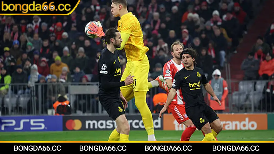 Kèo nhà cái 5: phân tích biến động kèo trận lượt về Cúp C1