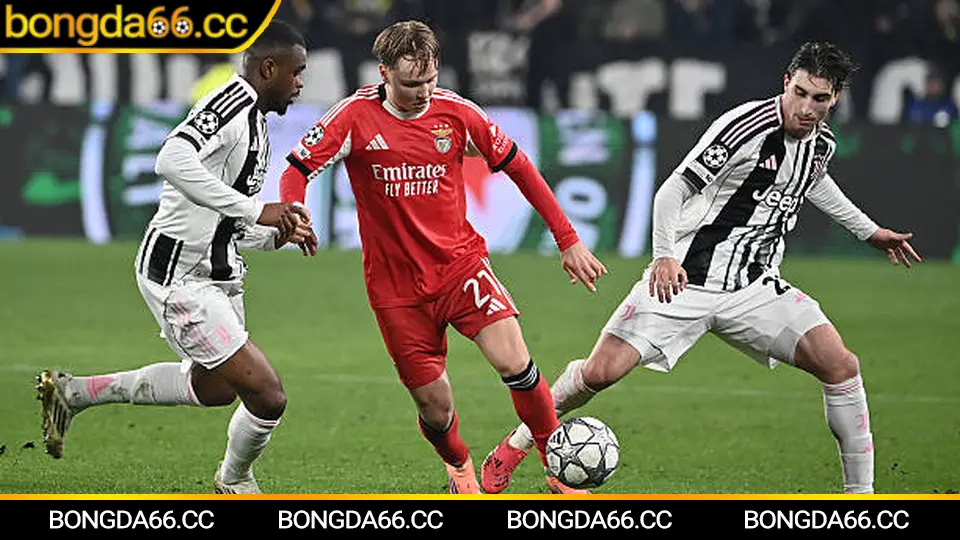 Kết quả bóng đá Đức gắn lịch thi đấu và bảng xếp hạng Bundesliga