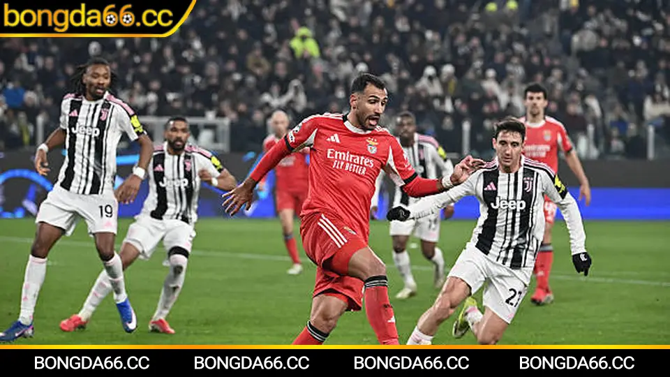 Kinh nghiệm đọc kèo từ thứ hạng của giải vô địch bóng đá ASEAN