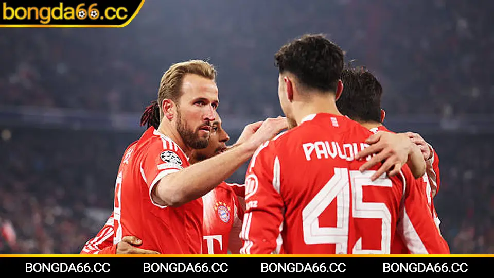 Lâm Đồng FC và bản sắc bóng đá cao nguyên mùa giải 2026