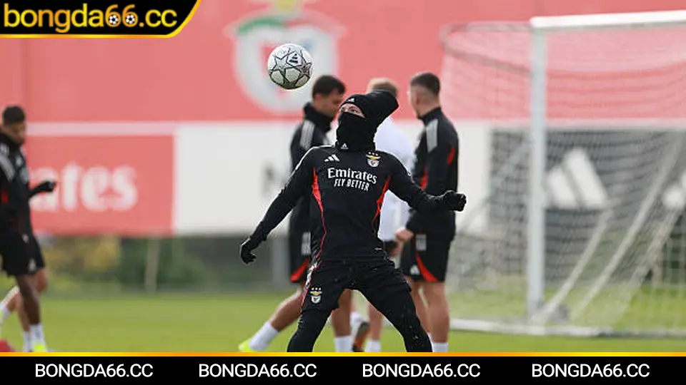 Leicester City và dự báo xu hướng kèo mùa 2026 trên bongda66