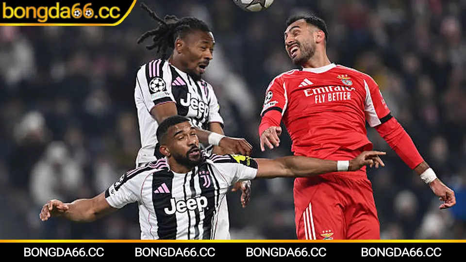 Lịch đá bóng Việt Nam và phân tích kèo trước trận chi tiết