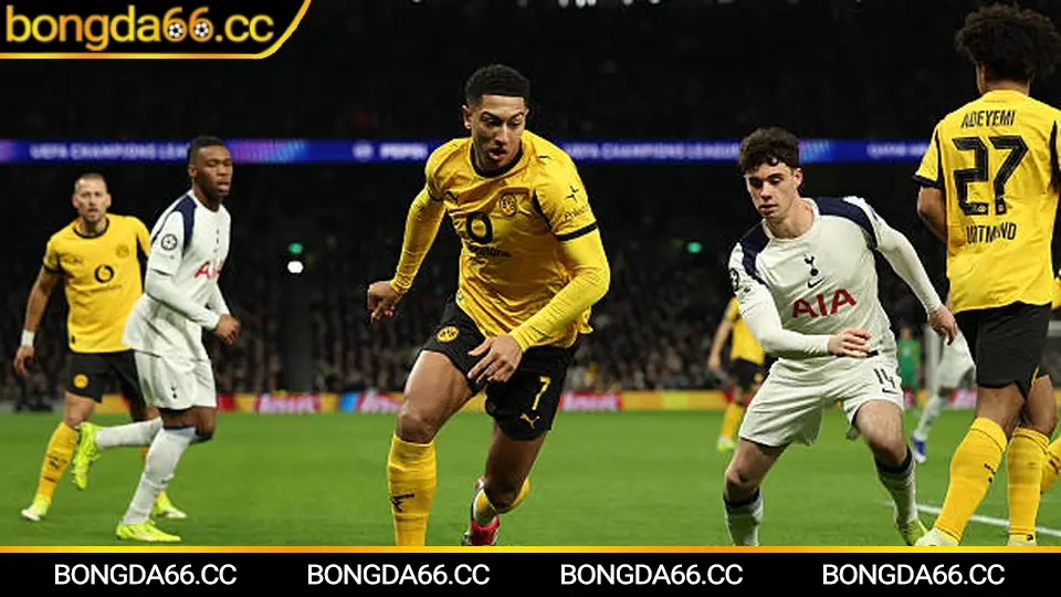 Soi Kèo Bóng Đá Hôm Nay: Bí Quyết Phân Tích Và Cá Cược Thông Minh Cho Ngày 29/1/2026