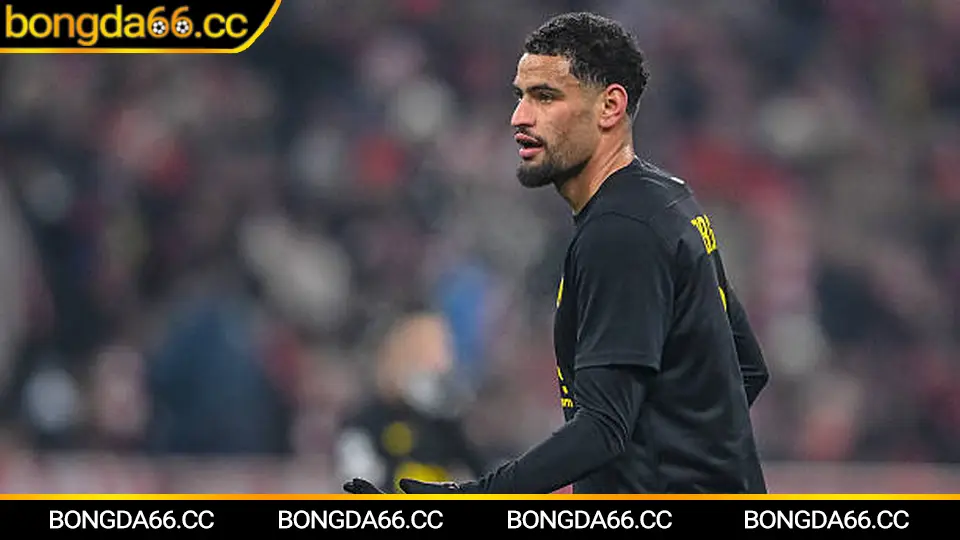 Lịch sử giải vô địch bóng đá ASEAN với các đội tuyển hàng đầu