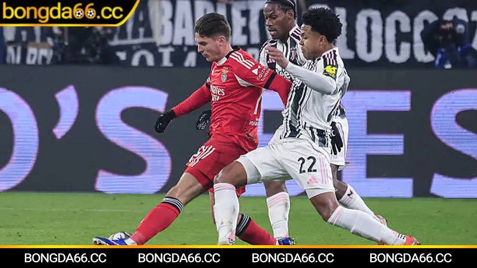 Lịch sử Wolfsburg tại Bundesliga và bản sắc chơi hiệu quả