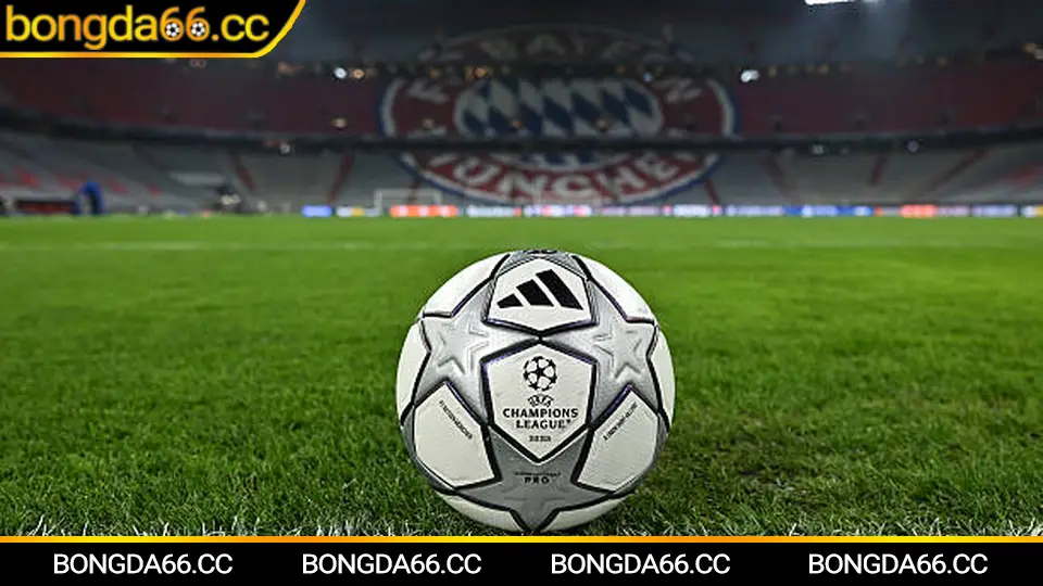 Lịch thi đấu bóng đá Việt Nam hôm nay cập nhật giờ đá mới nhất