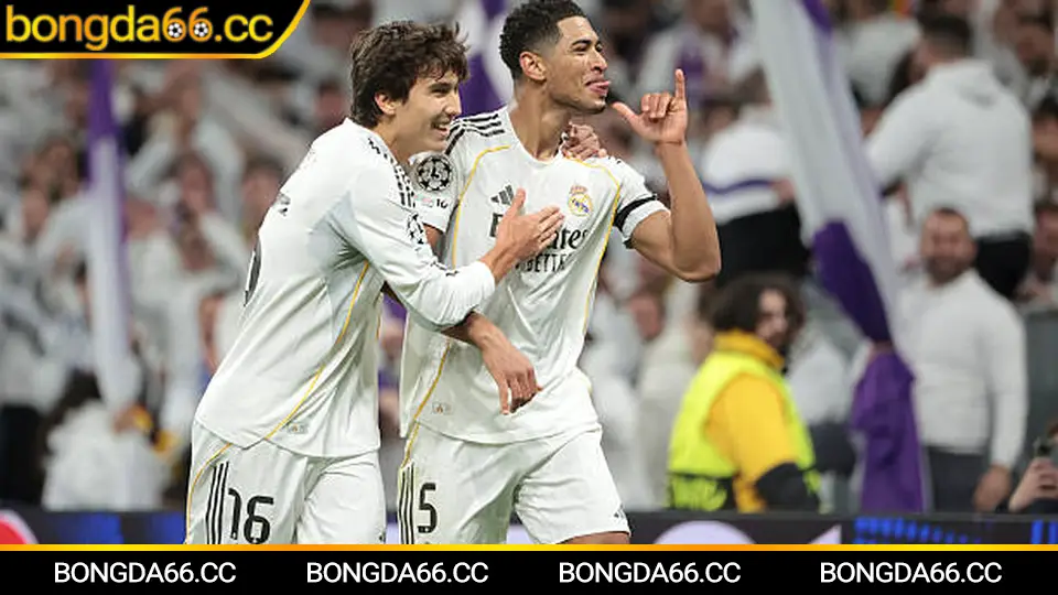 Lịch thi đấu hôm nay và phân tích kèo trước giờ bóng lăn