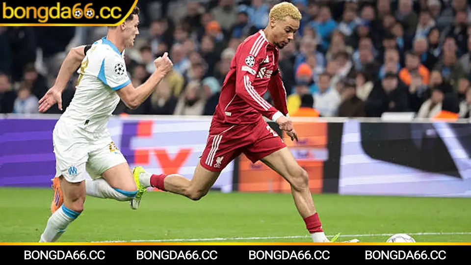 Lịch thi đấu MU: xoay tua đội hình và dự báo nhịp trận 2026