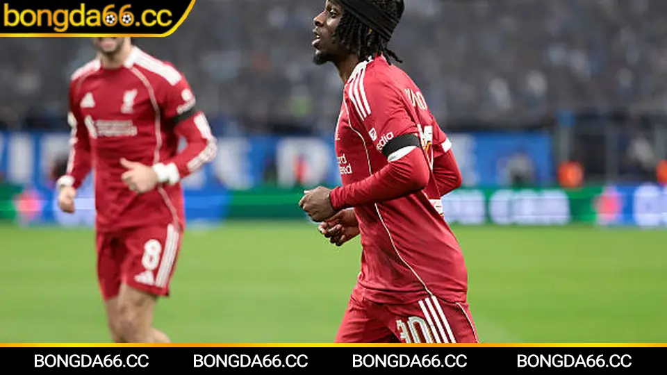 Lịch thi đấu MU và cách đọc lịch Manchester United để soi kèo