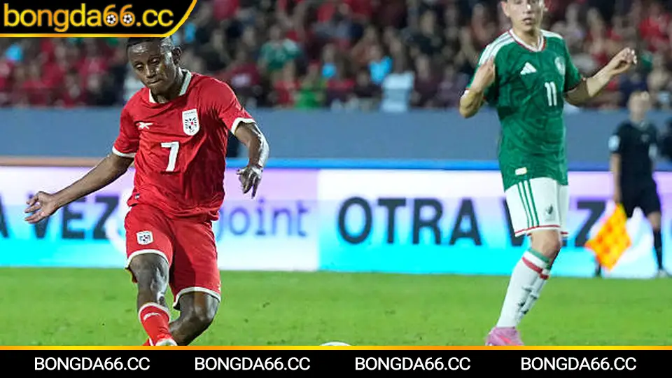 Mẹo cá cược bóng đá trực tiếp dựa trên phân tích lịch sử và dữ liệu đội bóng tại Bongda66