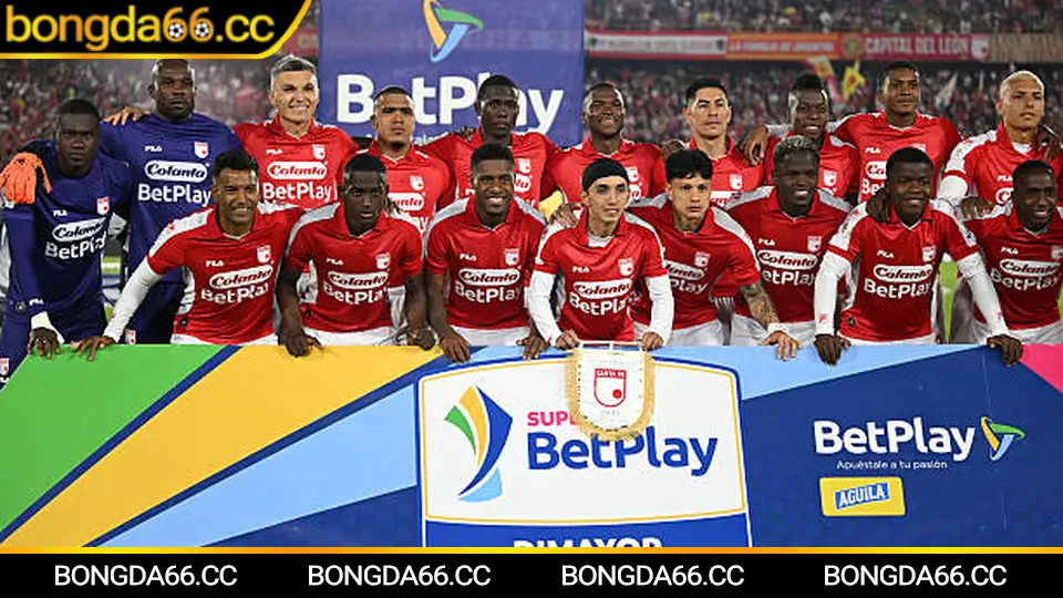 Mẹo cá cược hiệu quả cho các trận đá bóng hôm nay với tỷ lệ kèo và dự đoán từ chuyên gia