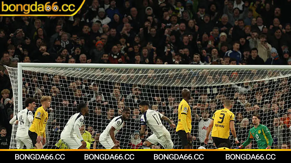 Mẹo đọc kèo nhà cái và quản trị vốn hiệu quả trên bongda66