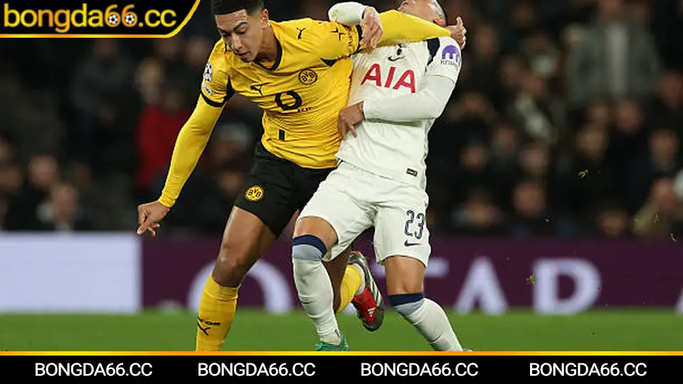 Mẹo đọc kết quả Ngoại hạng Anh để chọn kèo trên bongda66