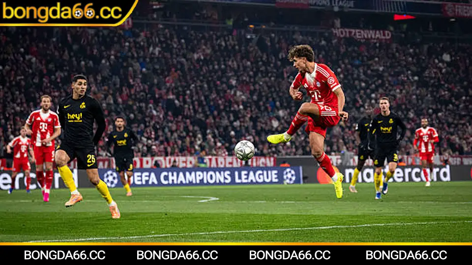 Mẹo đọc tỷ lệ cá cược và quản trị vốn an toàn đầu năm 2026