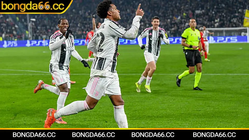 Mẹo trực tiếp kèo nhà cái: quản trị vốn và nhận diện bẫy kèo