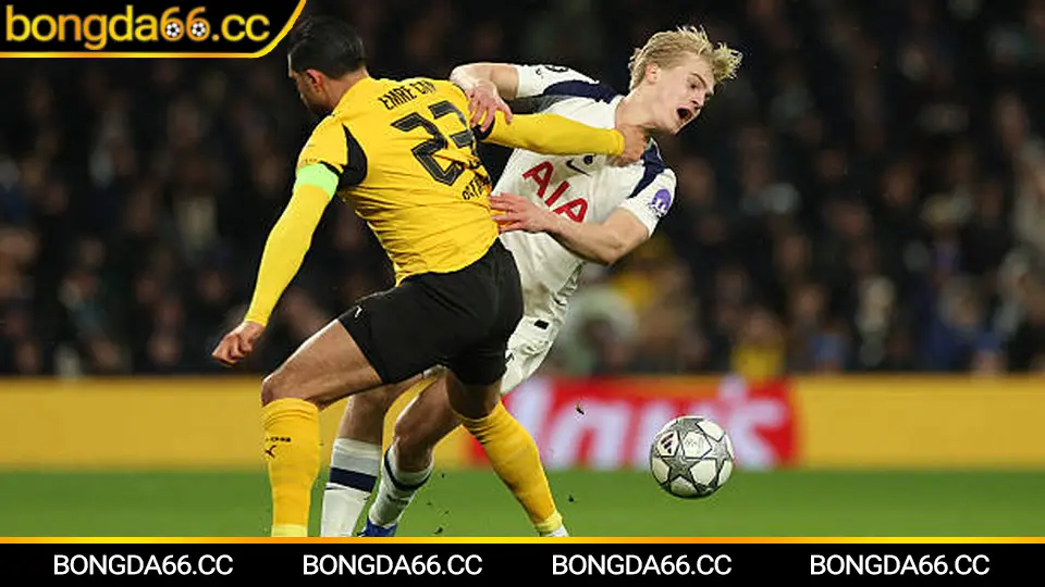 Mẹo theo dõi kết quả bóng đá hôm nay trên bongda66 nhanh và chuẩn