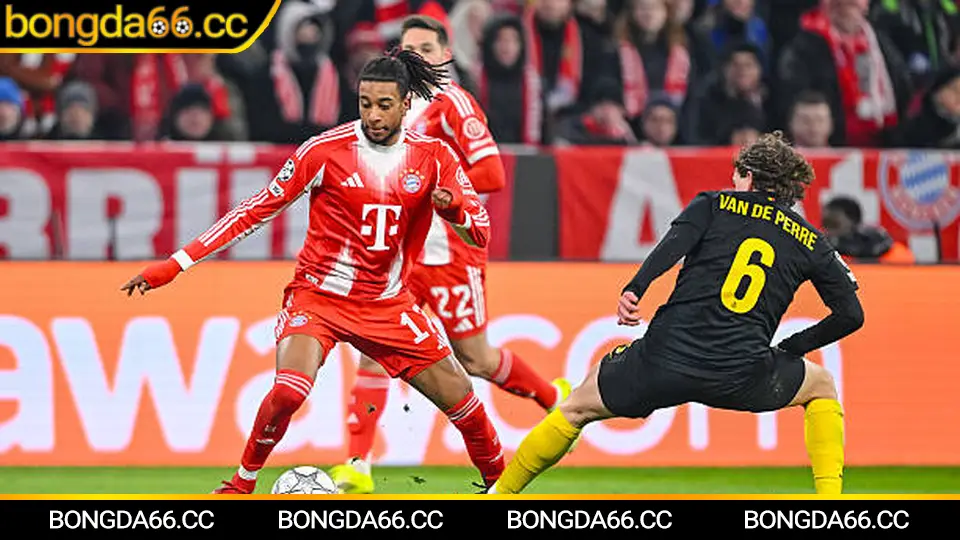 Phân tích Napoli tấn công biên và pressing phục vụ soi kèo