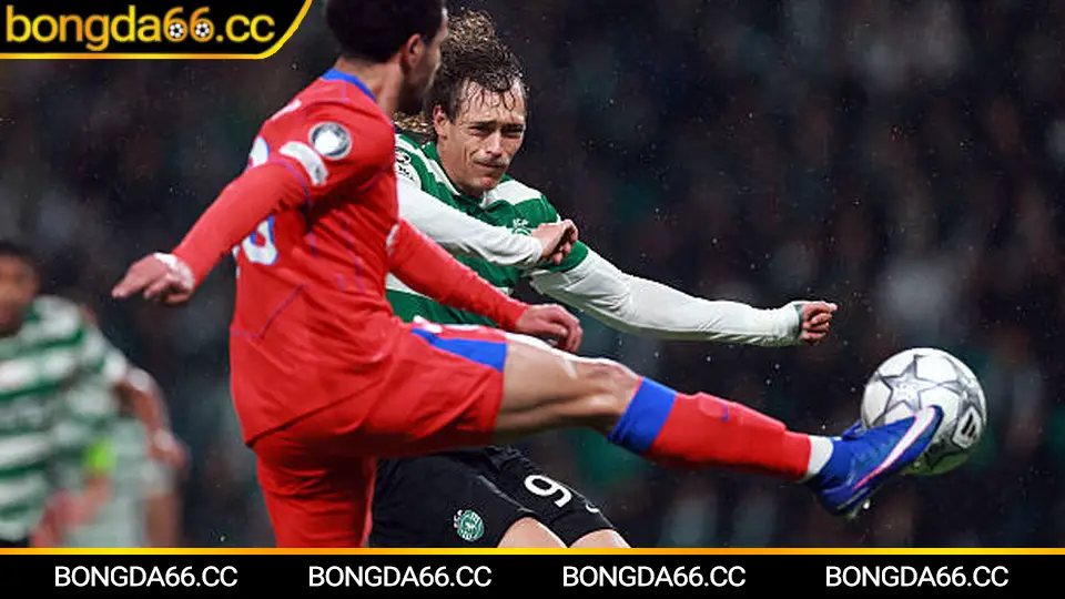 Newcastle United tại St James’ Park: bầu không khí trận đấu cuồng nhiệt