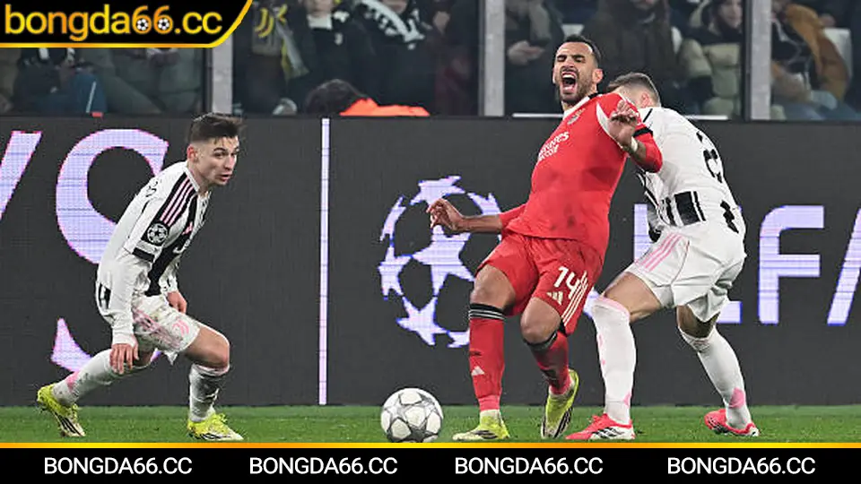 Nhận định Bình Phước FC và kèo nhà cái hôm nay trên bongda66