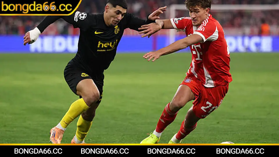 Nhận định kèo nhà cái qua biến động tỷ lệ và dữ liệu trận đấu