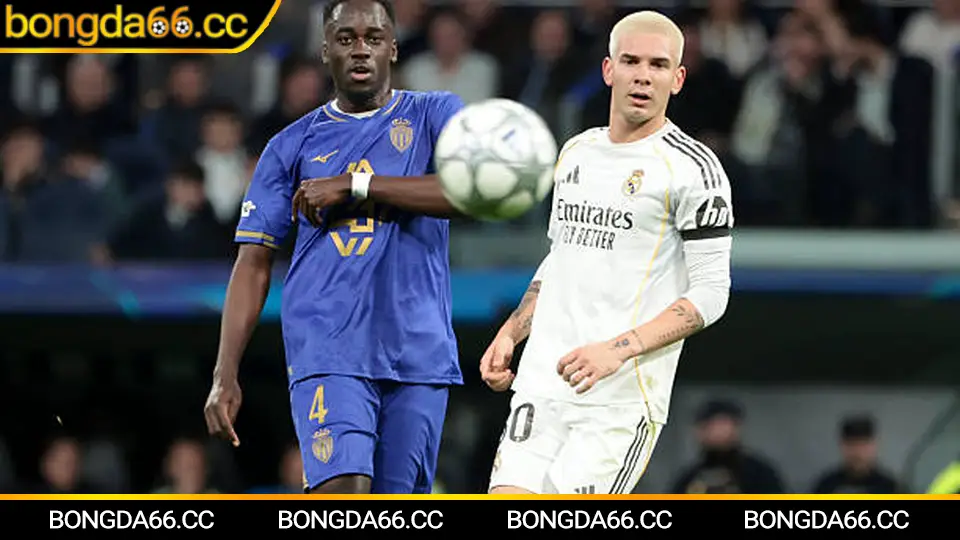 Kashima Antlers: “Đế chế” J-League dưới lăng kính dữ liệu, xu hướng và kèo đáng chơi