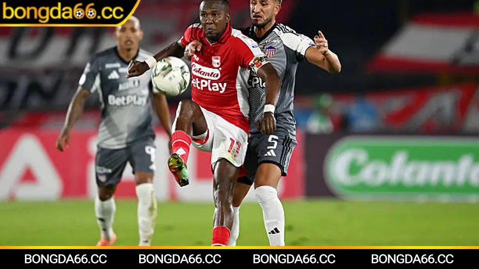 Phân tích kèo Al Nassr trên bongda66 qua tỷ lệ và biến động trận đấu